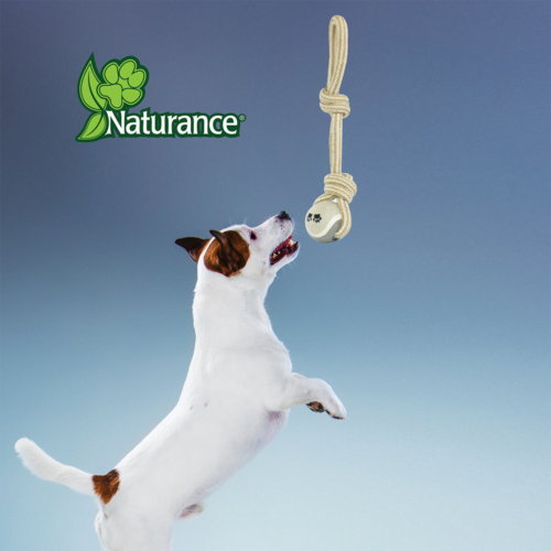 FL7237_M Fancy Pets - Juguete de Cuerda para Perro de Doble Nudo con Pelota