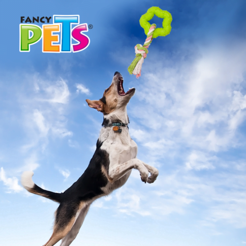 Fancy Pets - Juguete para Perro, Cuerda con Estrella