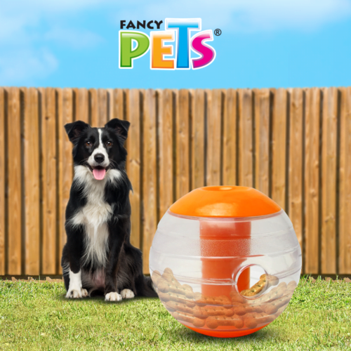 FL8793_M Fancy Pets - Pelota para Perros con Sonidos para Introducir Premios