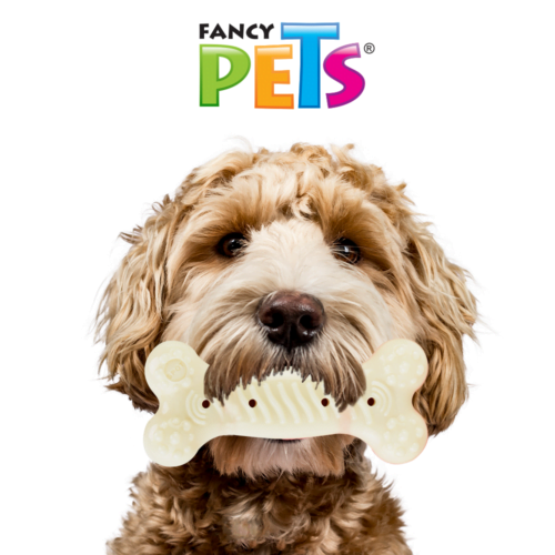 FL9319_M Fancy pets - Juguete para Perro Forma de Hueso Sabor de Pollo