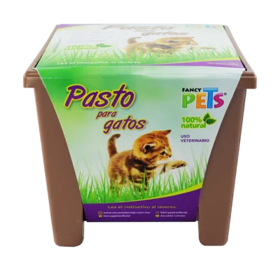 Fancy pets - Germinación de trigo Pasto para Gatos