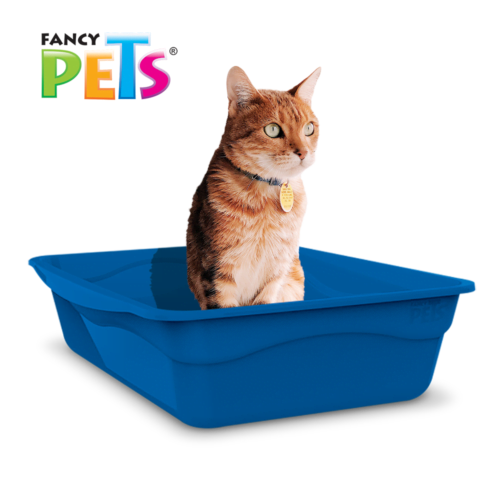 FL4151_M Fancy Pets - Arenero para Gato Tamaño Mediano Color Azul