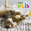 Fancy pets - Juguete de Catnip para Gato Varita Corazón con Pluma