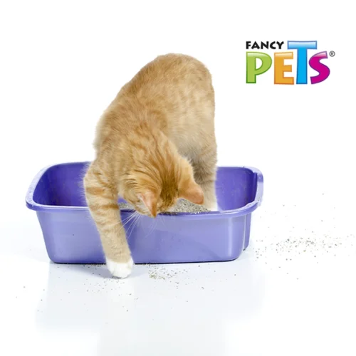 fl3932_m1_3 Fancy Pets - Arena para Gatos 10kg