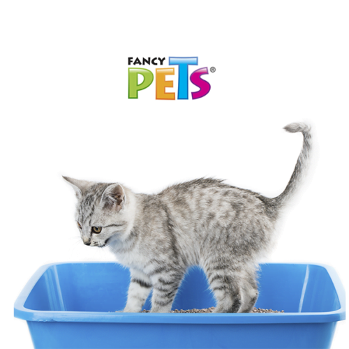 fl3933_m_3 Fancy Pets - Arena para Gatos 3kg