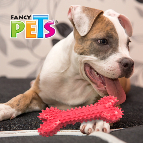fl8520_m_2 Fancy pets - Juguete para Perros Hueso de Caucho se Puede Insertar Premios