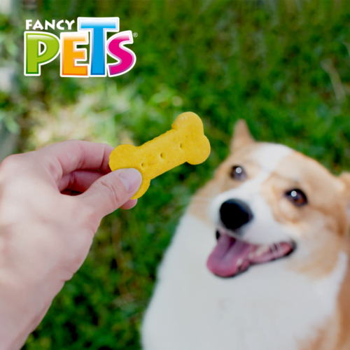 FL3846_M Fancy Pets - Galletas para Perros Yummy Premios Sabor Queso