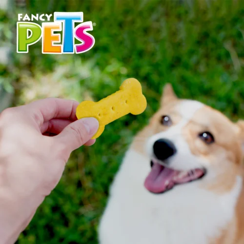 FL3846_M Fancy Pets - Galletas para Perros Yummy Premios Sabor Queso