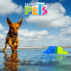 Fancy Pets - Juguete Refrescante para perro Paleta Congelable Cool