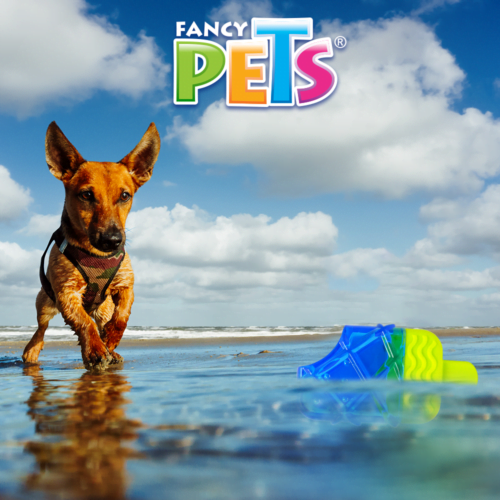 Fancy Pets - Juguete Refrescante para perro Paleta Congelable Cool