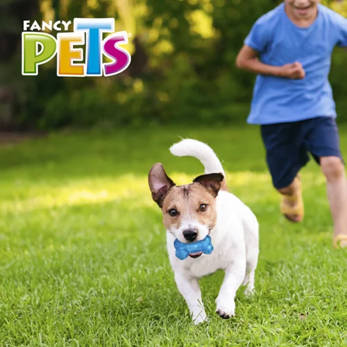 FL9463_M_1 Fancy Pets - Juguete para Perro Hueso Prisma con Sonido