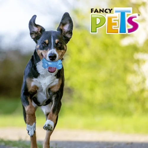 FL9464_M_1 Fancy Pets - Juguete para Perro Hueso Prisma con Sonido