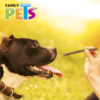 Fancy Pets - Premios para Perros Palitos de Carnaza Sabor Res 20 piezas
