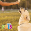 Fancy Pets - Premios para Perros Palitos de Carnaza Natural