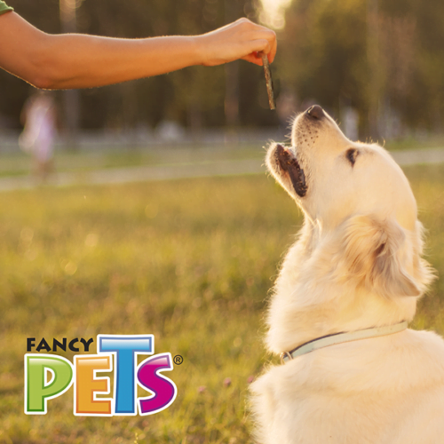 Fancy Pets - Premios para Perros Palitos de Carnaza Natural