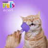 Fancy Pets - Cepillo Expert Para Gatos con Puntas Redondeadas