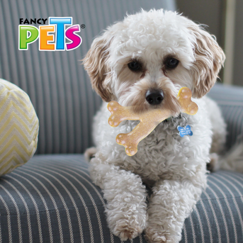 fl9305_m_2 Fancy Pets - Juguete Masticable para Perro Hueso de Bambú Triple Sabor Pollo