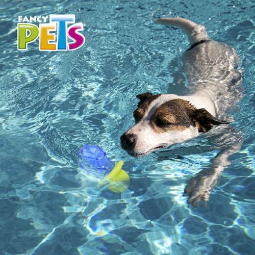 Fancy Pets - Juguete Refrescante para Perro Chupón Congelable