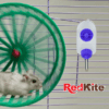 Redkite - Bebedero Dispensador para Pequeños Mamiferos