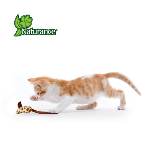 FL8242_M Naturance - Juguete para Gatos Ratón Ecoplay - 3 Piezas