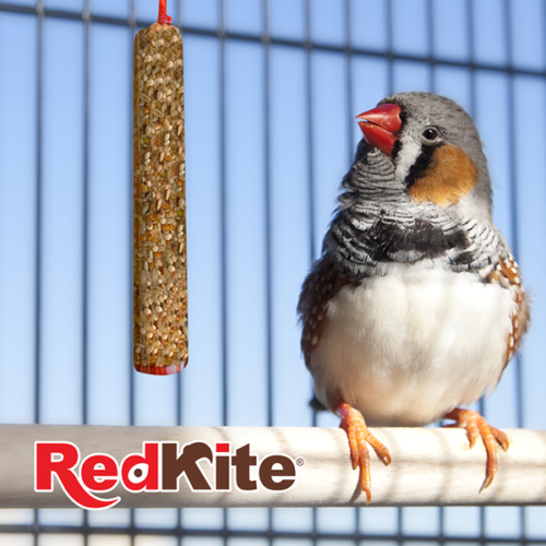 Redkite - Barrita para Aves Canoras Alta en Proteínas 2 Piezas