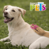 Fancy pets - Carda para Perros Removedor de Pelo de Goma