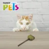 Paleta de Catnip para Gato