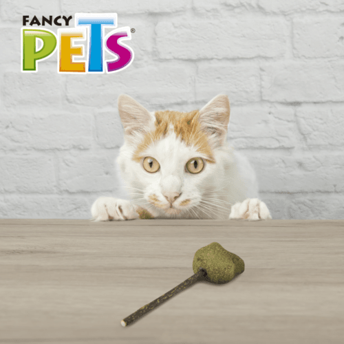 Paleta de Catnip para Gato