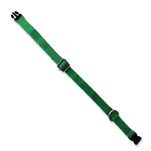 Collar para perros color verde, fabricado con tela de nylon ideal para brindar seguridad y comodidad a tu mascota. El collar es de tamaño chico, con medida de 35cm de largo como máximo, el cual es ajustable y 1cm de ancho.